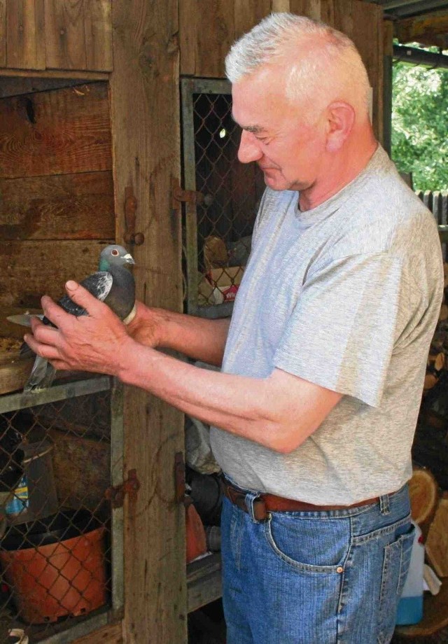 Jerzy Jaszczyk uratował jednego z pechowych gołębi