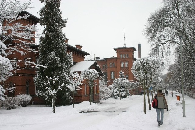 Szpital  to kompleks kilkudziesięciu starych budynków na obrzeżach Starogardu Gd.