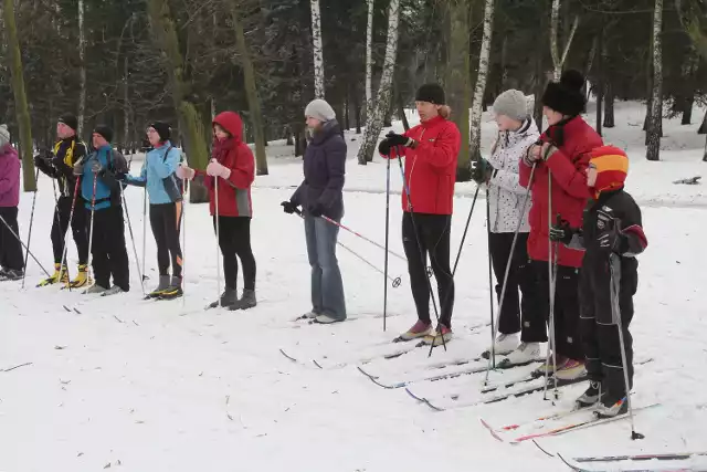 Biegi narciarskie z instruktorem: park na Zdrowiu, czwartek, g. 17:30.