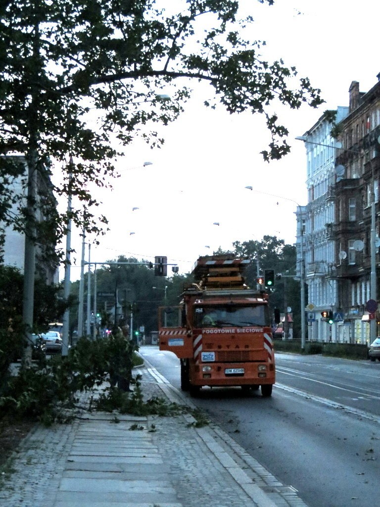 Wrocław: Tir zahaczył o drzewo