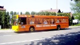 Pomarańczowe autobusy MPK z darmowym internetem
