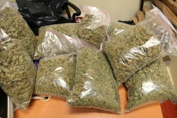 Akcja CBŚ w Jabłonnej: Znaleziono 4,5 kg marihuany