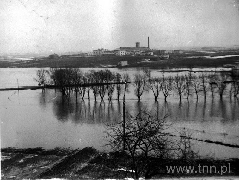 Kalinowszczyzna w czasie powodzi w Lublinie w 1947 roku. Na...