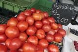 Małopolska: radny ukradł pomidory, bo jest niepoczytalny?