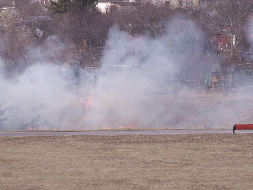 Z maila wzięte: Spłonęła trawa na lubelskich Tatarach