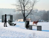 Dzielnice Krakowa: to tu są prawdziwi społecznicy 