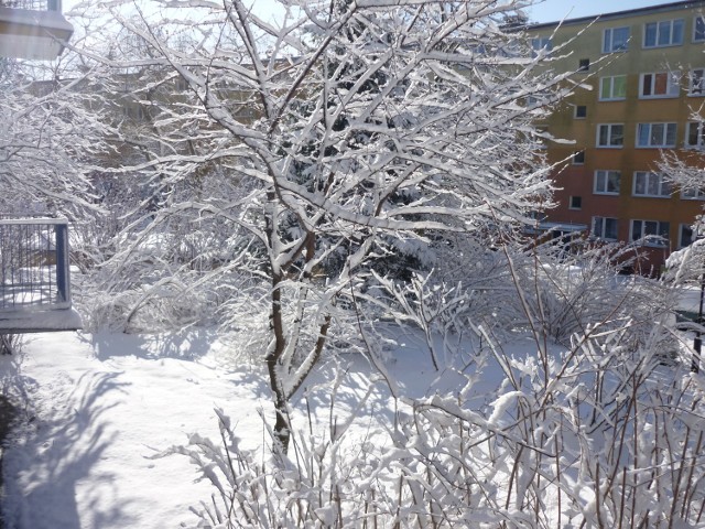 Widok z mojego okna na ul. Kaliskiej w Lublinie, w stronę J. Sawy. Lubię zimę za oknem. Jutro wyślę widok z drugiej strony - napisała do nas stała Czytelniczka z Kaliskiej
