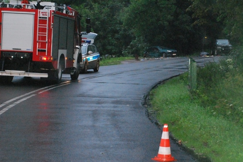 Biskupice w gminie Pilica: Wypadek na DW 790. Nie żyje kierowca peugeota [ZDJĘCIA]