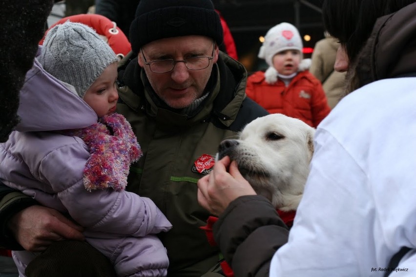 Golden Retrievery będą zbierały na WOŚP już po raz czwarty