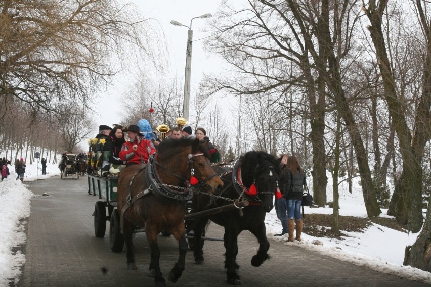 Arcybiskup Wiktor Skworc na procesji konnej w Pietrowicach Wielkich [ZDJĘCIA]