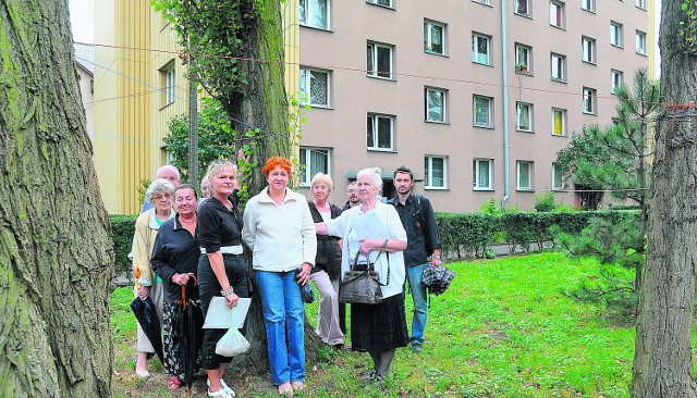 Maria Kulig i jej sąsiedzi zorganizowali protest w sprawie wycinki