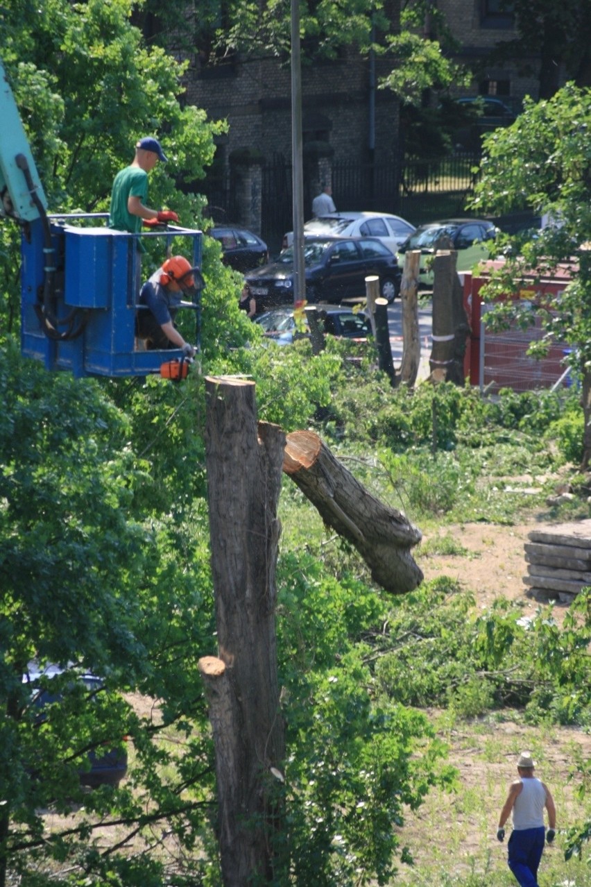Mieszkańcy alarmują: Wycinają drzewa przy ul. Dawida (ZDJĘCIA)