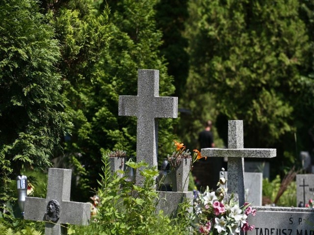 Na zabytkowym Cmentarzu Grabiszyńskim najważniejsze jest dobro przyrody