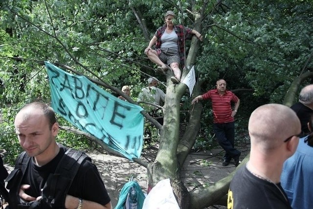 Mieszkańcy już raz bronili drzew przed wycinką. Skwer przy Piotrkowskiej 241.