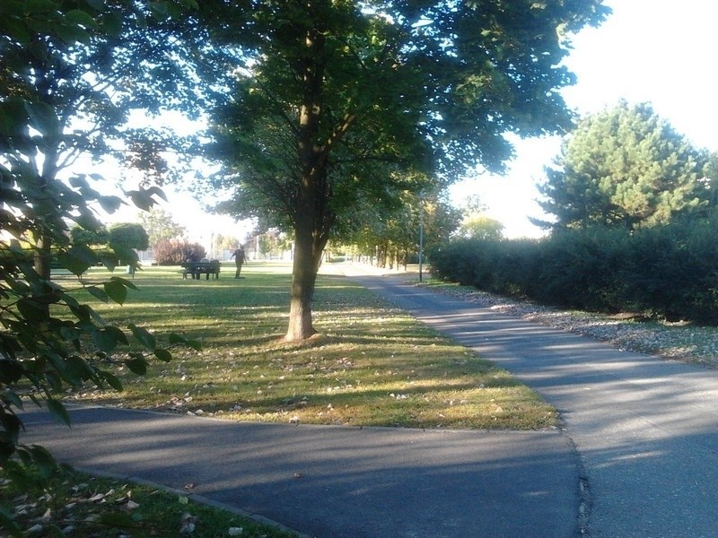 Park im. Władysława Czarneckiego na os. Przyjaźni