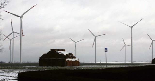 Wiatraki na Powiślu chce postawić firma Green Bear, która ma już farmę wiatrową w Lisewie w województwie pomorskim