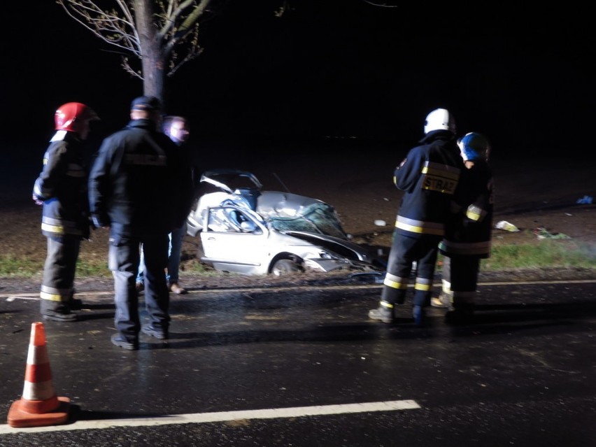 Droga Wrocław-Świdnica: Samochód uderzył w drzewo (ZOBACZ)
