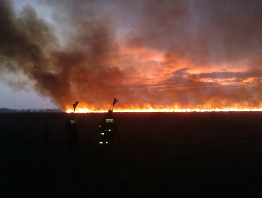 Pożar rezerwatu przyrody Bagno Serebryskie 