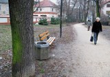 Leszno: W ubiegłym roku miasto wydało 4 mln zł na walkę z zimą