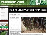 Kibole Śląska: Anglicy przegrali mecz przez &quot;murzynów&quot;