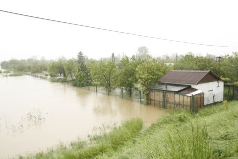 Kraków pod wodą. Galeria zdjęć