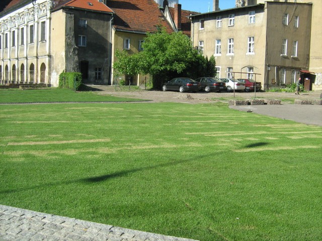 Ośrodek Staromiejski, skwer przy ul. Stawnej, ma nową trawę z rolki.