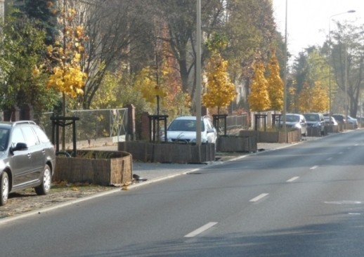 Trwa montraż zabezieczeń dla roślin przydrożnych