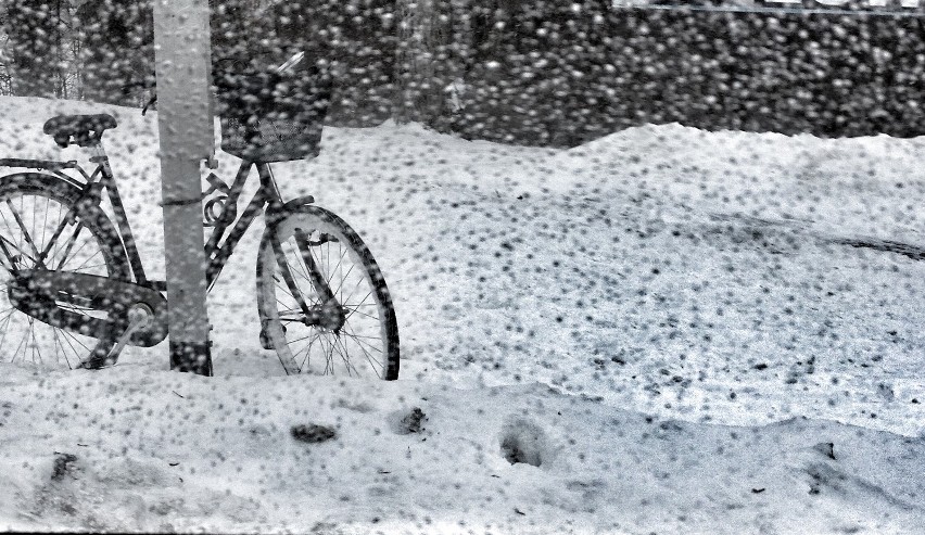 Zima w Lublinie na zdjęciach Czytelników Kuriera                          