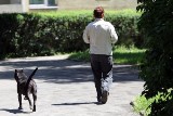 Gdańsk: Niebezpieczny pies zagraża mieszkańcom Łostowic 