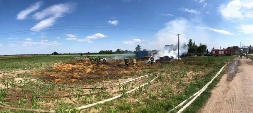 Pięć zastępów straży pożarnej interweniowało przy pożarze w Olesznie 
