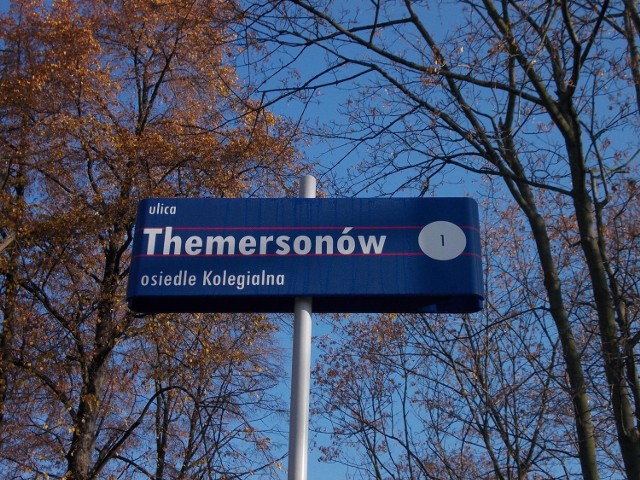 Otwarcie ulicy Themersonów w Płocku