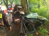 Śmiertelny wypadek na trasie Połęczyno - Grabowska Huta. Nie żyje 62-letni mężczyzna! [zdjęcia]
