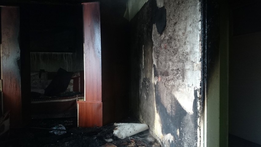 Pożar budynku w Kartuzach - czworonogi nie przeżyły ZDJĘCIA