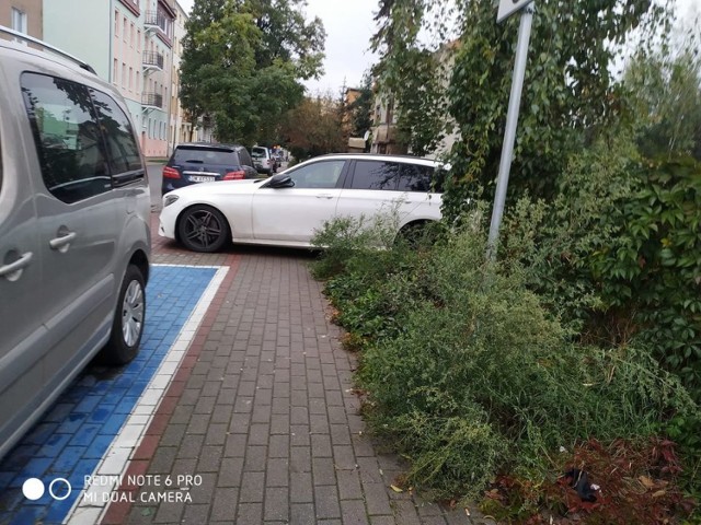 Zobacz oleśnickich mistrzów kierownicy