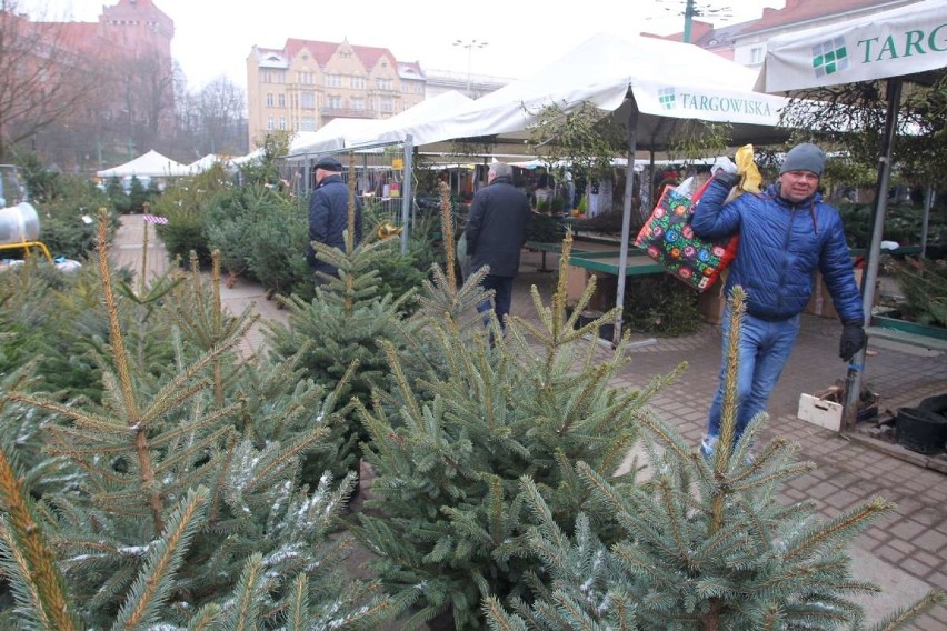 Najwięcej osób kupuje choinki na kilka dni przed świętami.