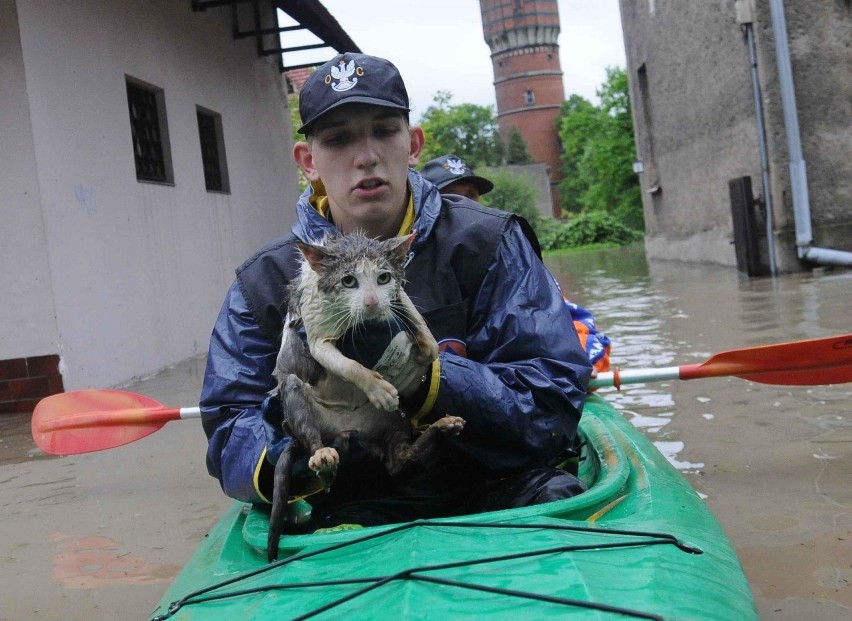 Powódź 2010. Dziesięć lat temu Opolszczyznę nawiedziła wielka powódź. Mija właśnie rocznica tamtych tragicznych wydarzeń