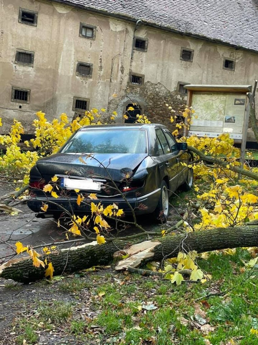 Strażacy z Czarnego Boru usuwali połamane drzewa z jezdni,...