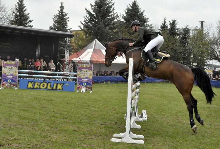 Grand Prix Tulipanów w Chrzypsku Wielkim