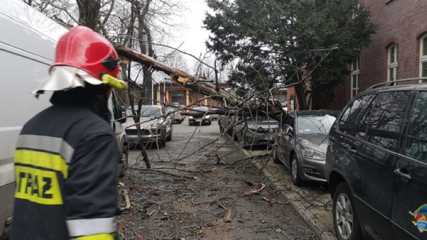 W Katowicach na ul. Raciborskiej drzewo przewróciło się na samochód.