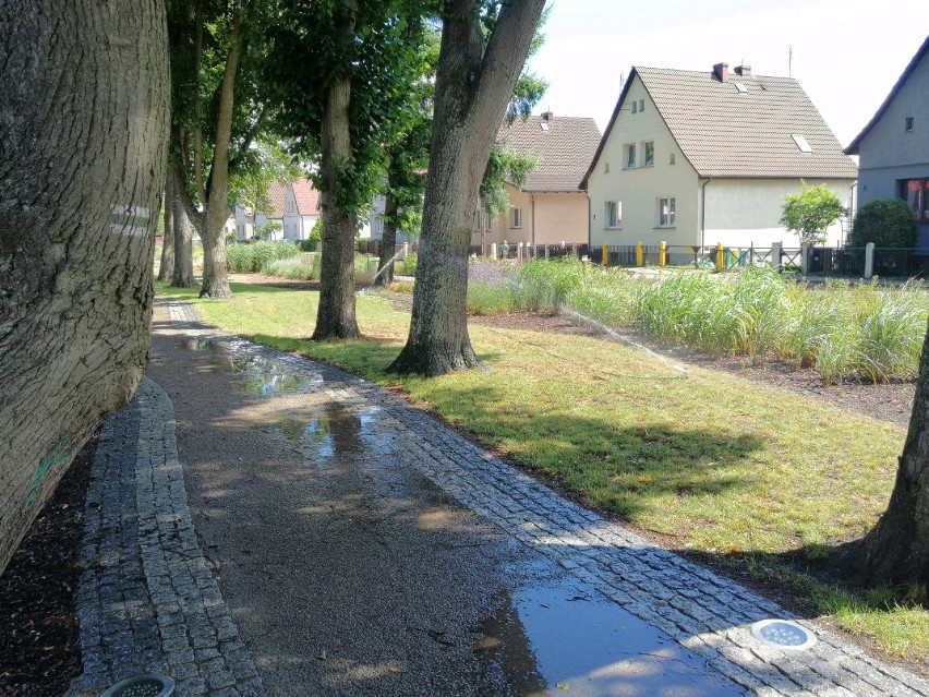 Wodna kurtyna nad alejką. Ale chyba nie o to chodziło?