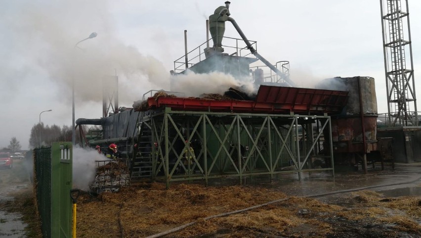 Pożar biogazowni w Koczale. Straty oszacowano na 15 tys. zł (FOTO)