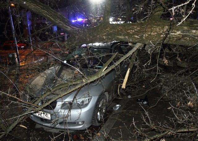 Powalone drzewo spadło na samochód przy ul. Kieleckiej w Krakowie