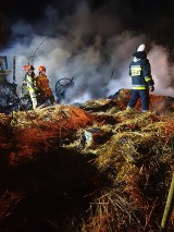 Pożar stodoły w Królowej Woli. W zgliszczach znaleziono zwłoki mężczyzny [ZDJĘCIA]