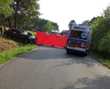 Policja w Ostrzeszowie: Tragiczny wypadek w Kuźnicy Myśliniewskiej. Nie żyją dwie osoby