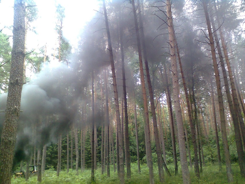 Było bardzo niebezpiecznie. Palił się las w Kosarzynie pod...