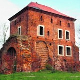 Chcą rewitalizacji zamku Pałuków
