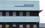 Inkubator Przedsiębiorczości Leszno: Już od roku wspiera biznesmenów [ZDJĘCIA]