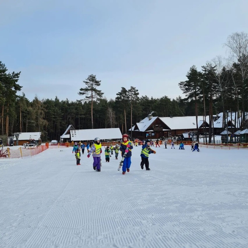 Najmłodsi uczą się jeździć na nartach w Kielcach. Telegraf i Stadion pełne maluchów na deskach. Zobacz zdjęcia