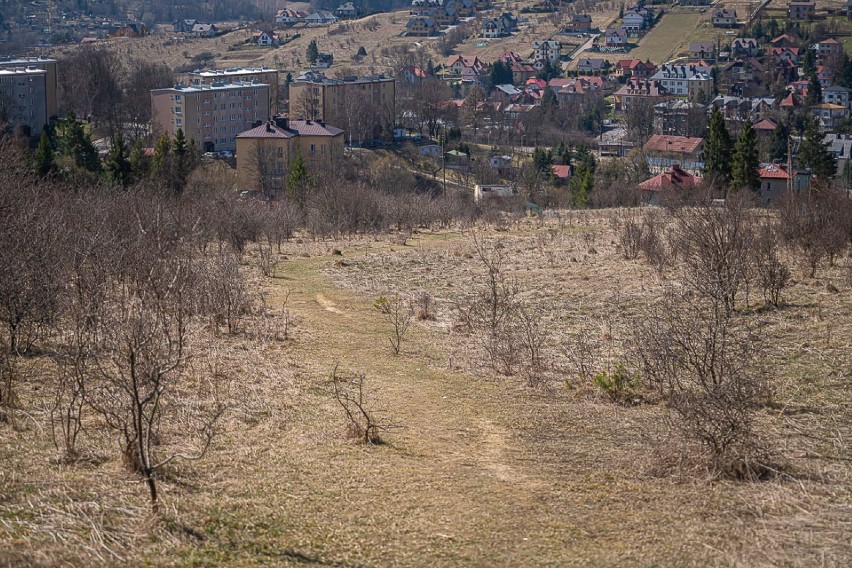 Krynica-Zdrój. Na Górze Parkowej powstanie Ogród Żywiołów [ZDJĘCIA]