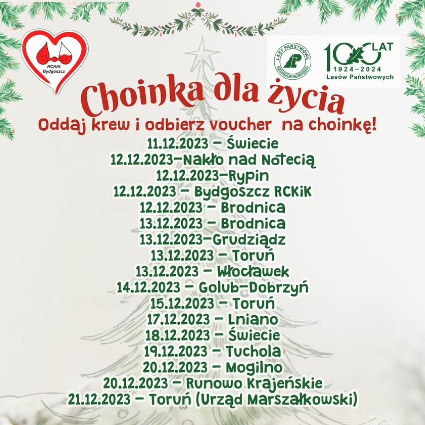"Choinka dla życia" - oddaj krew i odbierz choinkę z Regionalnego Centrum Krwiodawstwa w Bydgoszczy 